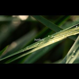 Meet your Posher, Russell